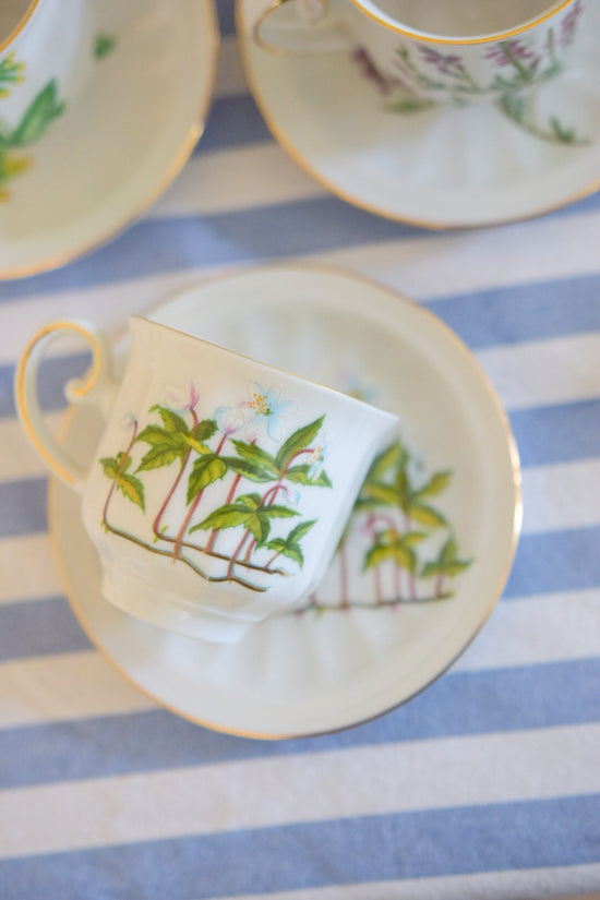 4st kaffekoppar med tillhörande assietter, Carl von Linné från Fyrklövern